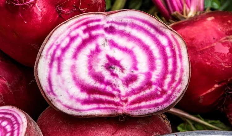 beetroot-nutrition_large_1158_148.webp-e1742967999787-750x441 (1)