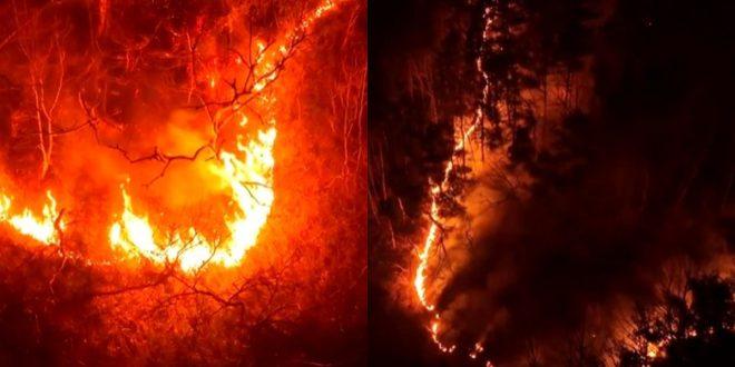 fire-1742700093-e1742703920306-660x330