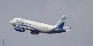 indigo-flight-bird-1742864656-e1742878271193-660x330 (3)