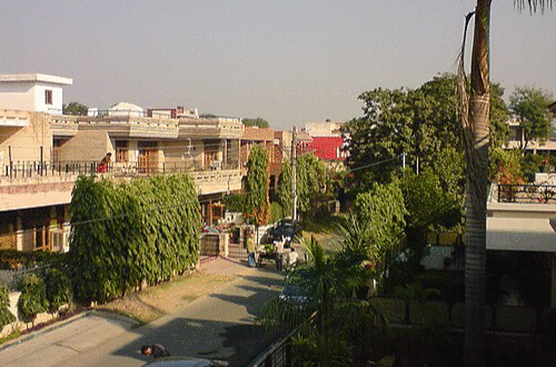img1932_1743668249-500x330 (1)