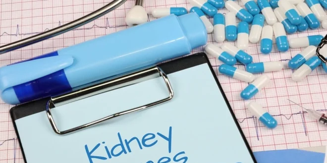 kidney-health_large_1357_148.webp-e1750650407293-660x330