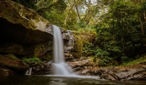 barot-valley_large_1747_148.webp-e1752885758943-750x441 (1)