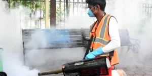 dengue_large_1421_21.webp-e1753753521868-660x330