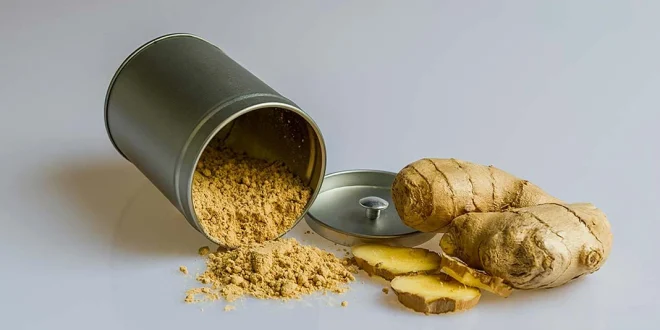 ginger_large_1143_23.webp-e1753062759993-660x330