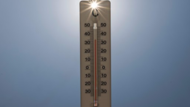 World on track to dangerous warming as emissions hit record high: UN