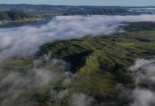 AI-generated disinformation tactics spotted ahead of COP30