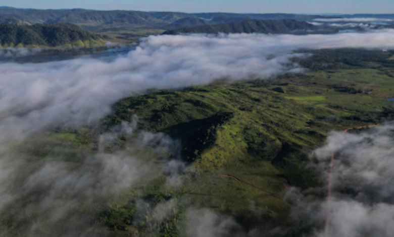AI-generated disinformation tactics spotted ahead of COP30