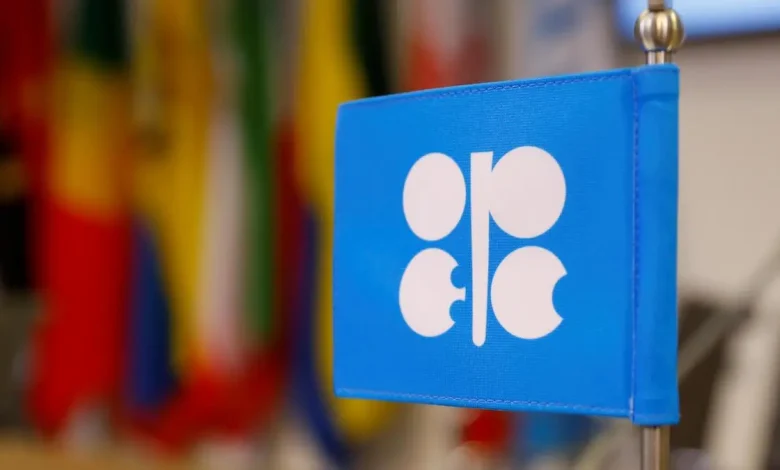 UAE exit blindsides OPEC and threatens to shake its grip on oil