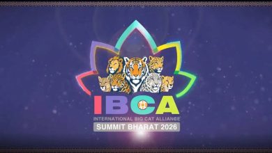 India exhorts big cat range countries to join treaty-based global Alliance ahead of its first Summit in Delhi
